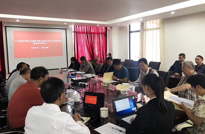 大白菜育种技术创新和新品种选育及应用 anli.jpg